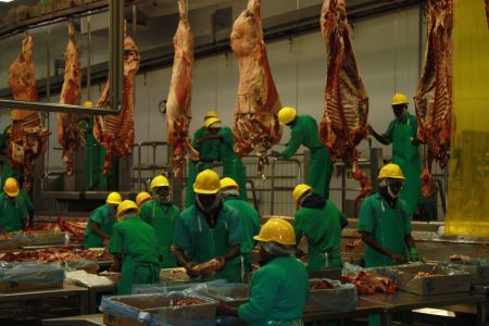 WINDHOEK 14 JULY 2010 - Workers doing what they do everyday at Meatco during the tour of the First Secretary for Economics, Information, Social and Cultural Affairs of the Indonesian Embassy in Namibia, Toary Worang, at Meatco. (Photo by: Shinovene Immanuel) NAMPA 