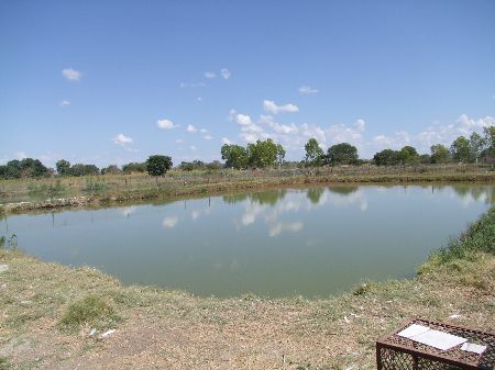 LIKUNGANELO, 23 MAY 2013 – One of the six production ponds at the Likunganelo fish farm, where fish production has sharply declined. The fish farm is situated some 30km east of Katima Mulilo in the Caprivi Region. (Photo by: Olavi Haikera) NAMPA 