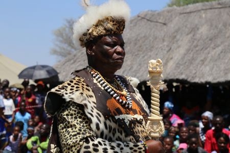 CHINCHIMANI, 27 September 2015 - Mafwe Traditional Authority chief George Simasiku Mamili holds the ivory stick symbolising Lusata. The Lusata celebrations are held annually by the Mafwe tribe's sons and daughter who come together in jubilation to unite with their chief, who also uses the occasion to parade in traditional clothes made of tiger skin or print. (Photo by: Faith Sankwasa) NAMPA
