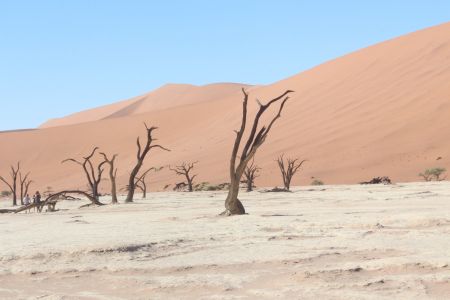 SOSSUSVLEI, 05 December 2016 - Deadvlei, one of the world's most photographed areas. (Photo by: Maqonda Ndlovu) NAMPA