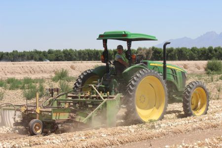 TEXAS, 16 June 2017 - A tractor at work on the Wholesome Valley Farm at Las Cruces, Texas in the United States of America. (Photo by: Sawi Hausiku) NAMPA