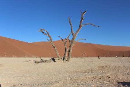 SOSSUSVLEI, 06 April 2018 – The well-known dead camelthorn trees at Deadvlei. The trees, which are estimated to be hundreds of years old, have not decomposed because of the dry climate in the area. (Photo by: Linea Dishena) NAMPA