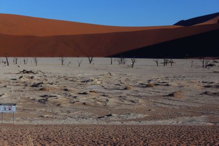 SOSSUSVLEI, 06 April 2018 – The Deadvlei clay pan in the Namib-Naukluft National Park. The clay pan was formed after rainfall, when the Tsauchab river flooded, creating temporary shallow pools where the abundance of water allowed camel thorn trees to grow. When the climate changed drought hit the area and sand dunes encroached on the pan, which blocked the river from the area. (Photo by: Linea Dishena) NAMPA