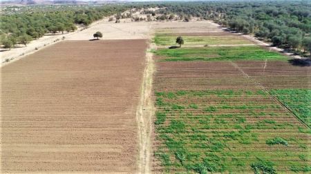WARMQUELLE, 14 June 2019 - The pilot site of the launched N.dollars 130 million agricultural project in the Kunene Region. (Photo by: Linea Dishena) NAMPA