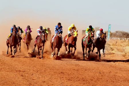 EPUKIRO, 30 July 2020 - Top Namibian horses expected to thrill in Okahandja (Photo contributed) NAMPA 