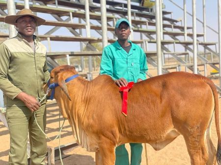 OMONGUA, 14 AUGUST 2024 - The 20th Aminuis Vicential Agricultural and Industrial Show is currently taking place at Aminuis in the Omaheke region with this year\'s event set to reflect the Aminuis community\'s vibrant agricultural tradition. (Photo: Contributed) NAMPA.