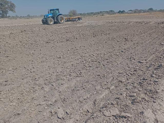 KATIMA MULILO, 27 August 2024 - The Kalimbeza rice project has finally entered the early stages of rice production after years of inactivity. (Photo: Contributed)