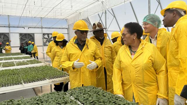 DAURES, 21 October 2024 - President Dr Nangolo Mbumba and First Lady Sustjie Mbumba led a delegation to the Daures Green Hydrogen Village in the Erongo Region. During his visit, Mbumba also inaugurated the Agriculture Facility at the site. (Photo by: Isabel Bento) NAMPA