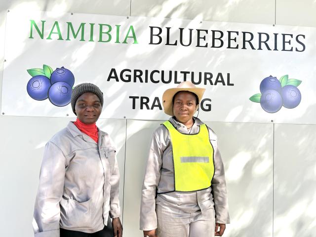 DIVUNDU, 31 OCT (NAMPA)- Namibia Berries employees Leocadia Dikutji and Richildis Ntoma. (Photo by: Eba Kandovazu)