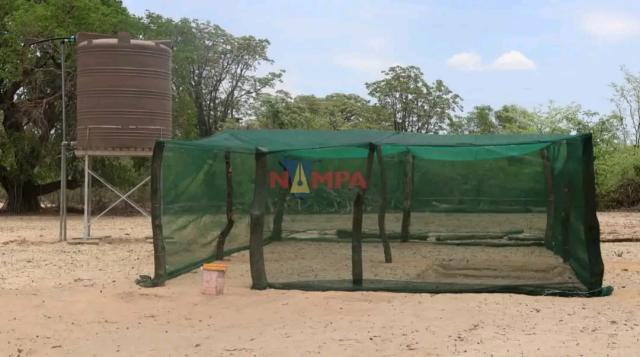 RUNDU, 22 November 2024 - The garden that Alois Hashipara Primary School received from the Namibia Wildlife Resorts. (Photo by: Sawi Hausiku) NAMPA. 