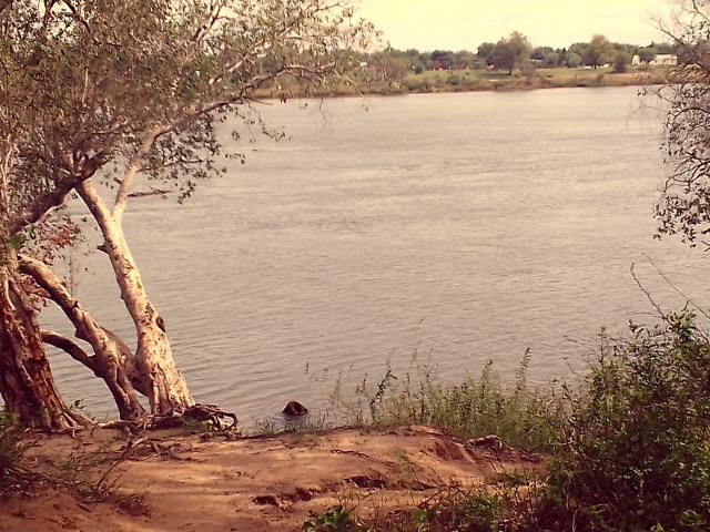 KATIMA MULILO, 07 January 2025 - The Zambezi River's water levels have worsened, dropping to even lower levels than last year over the same period. (Photo by: Michael Mutonga Liswaniso) NAMPA
