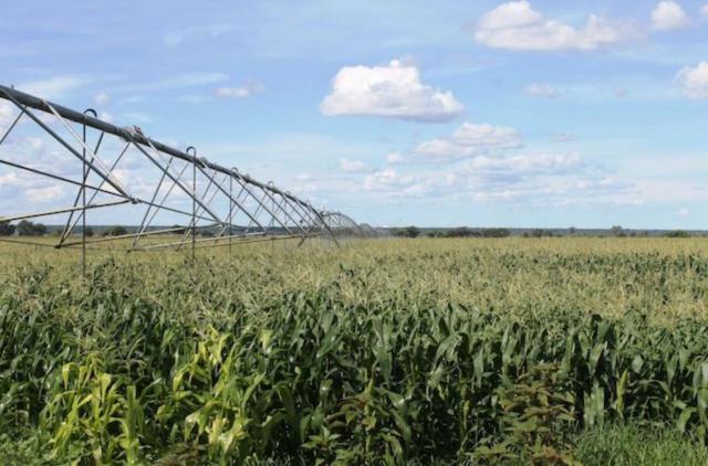 MARIENTAL, 15 January 2025 (NAMPA) - The Hardap Irrigation Scheme in Hardap region
(Photo : contributed) NAMPA 