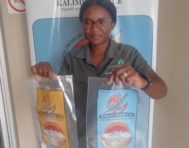 KATIMA MULILO, 21 February 2025 – Abia Sihope the Administration Clerk at the Kalimbeza Rice Project in the Zambezi Region, showcases the branded packaging designs of the Kalimbeza rice at the farm. 
(Photo by: Michael Mutonga Liswaniso) NAMPA
