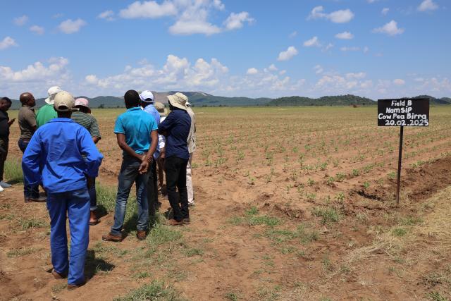OKORUSU, 13 March 2025 - Farm Okorusu 88 farmer, Johannes Damaseb (in green) speaks to agricultural seed experts Thursday afternoon on the activities of the Namibia Agricultural Mechanisation and Seed Improvement Project (Namsip) at his farm. (Photo by: Mulisa Simiyasa) NAMPA  