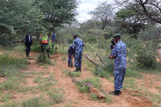 OKAKARARA, 18 March 2025 - Members of the National Youth Service (NYS) remove poles and wires from an identified illegal fence in a communal land of Ohamuheke in the Okakarara Constituency. (Photo by: Mulisa Simiyasa) NAMPA