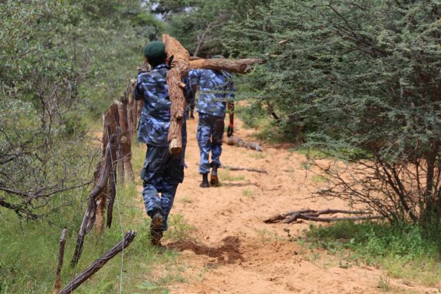 OKAKARARA, 18 March 2025 - Members of the National Youth Service (NYS) remove poles and wires from an illegal fence in communal land at Ohamuheke in the Okakarara Constituency. (Photo by: Mulisa Simiyasa) NAMPA