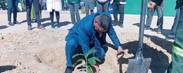 MARIENTAL, 12 MAY (NAMPA) - Hardap Governor, Riaan McNab planting a tree at Aimablaagte Primary School in remembrance of the late Founding President Sam Nujoma. McNab distributed 30 seedlings to local schools in Mariental on Monday.
(Photo by: Charmaine Boois) NAMPA