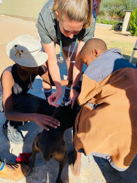 EPUKIRO, 17 May 2025 - The N/a'an ku sê Clinic, a subsidiary of the N/a'an ku sê Foundation, conducted a vaccination campaign against rabies in the Omaheke Region’s Epukiro Constituency on Saturday. (Photo: Contributed) 