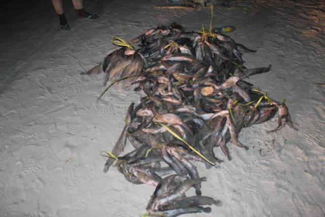 OSHAKATI, 17 June 2025 - Members from Ministry of Fisheries assisted by regional operations members to round up culprits  who fishing in sewerage pond behind NDF in Oshakati. (Photo: Contributed) 