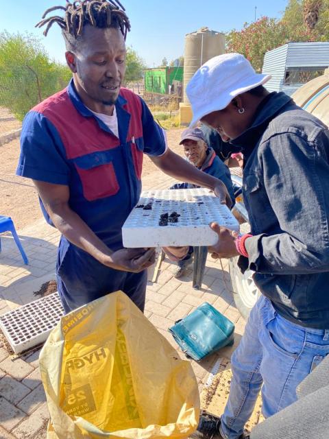 HOACHANAS, 17 July 2025 (NAMPA)- The Hoachanas Children Fund (HCF) held a workshop on Thursday where they trained backyard gardeners on seed sowing  which took place at the Ark youth centre in Hoachanas.
(Photo: contributed) NAMPA 