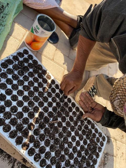 HOACHANAS, 17 July 2025 (NAMPA)- The Hoachanas Children Fund (HCF) held a workshop on Thursday where they trained backyard gardeners on seed sowing  which took place at the Ark youth centre in Hoachanas.
(Photo: contributed) NAMPA 