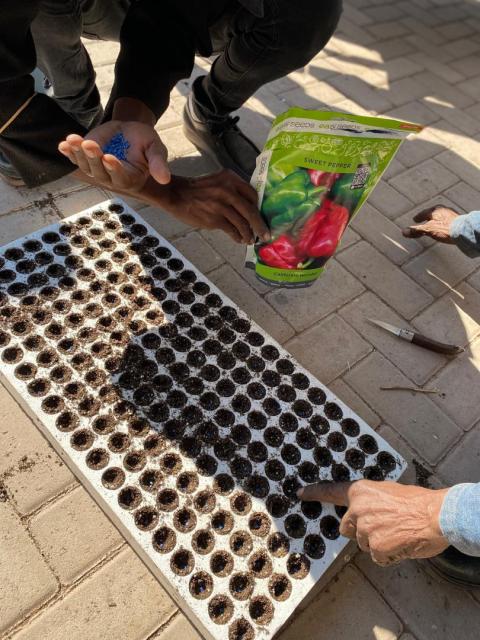 HOACHANAS, 17 July 2025 (NAMPA)- The Hoachanas Children Fund (HCF) held a workshop on Thursday where they trained backyard gardeners on seed sowing  which took place at the Ark youth centre in Hoachanas.
(Photo: contributed) NAMPA 