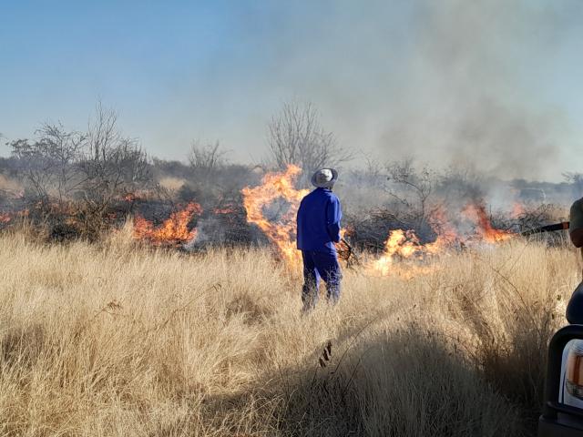 OUTJO, 20 July 2025- A veld fire erupted at a dumpsite at Outjo on Sunday afternoon. An estimated 5 hectares of grazing land was consumed by fire. Here a municipal firefighter is containing the veld fire (Photo: Dalene Kooper) NAMPA