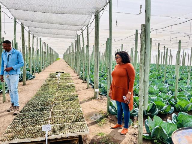 NKURENKURU, 13 August 2025-Kavango West Regional Governor Verna Sinimbo has commended the Sikondo Green Scheme for its innovative approach to agriculture and commitment to productivity during a familiarisation visit on Wednesday.

(Photo: Contributed)
NAMPA