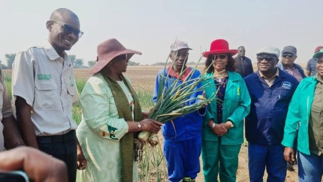 RUNDU, 28 August 2025 - President Netumbo Nandi Ndaitwah and her delegation visiting the  Shadikongoro Green Scheme in the Kavango East Region where she bought onions as a way to show support to small scale farmers. (Photo by: Sawi Hausiku) NAMPA 