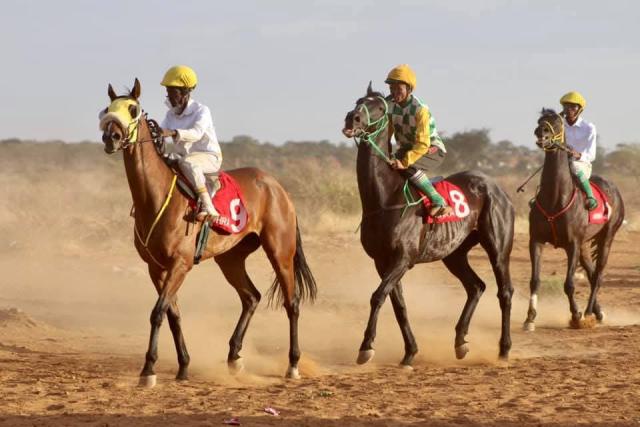 GOBABIS, 01 September 2025 - Top racehorses shine at Back2Basics race competition (Photo: Contributed) NAMPA 