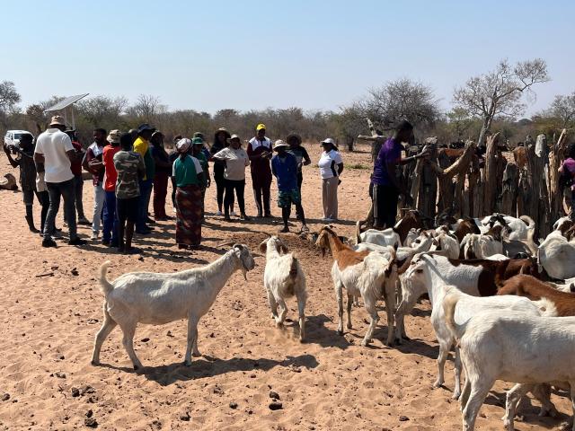 NKURENKURU, 03 September 2025- The Kavango West Council Members on a two week tour to monitors regional projects for accountability.

(Photo: Contributed)
NAMPA