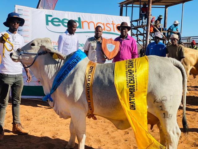 GOBABIS, 11 September 2025 - Various cattle breeds will converge at Okatumba Agricultural show (Photo: Contributed) NAMPA 