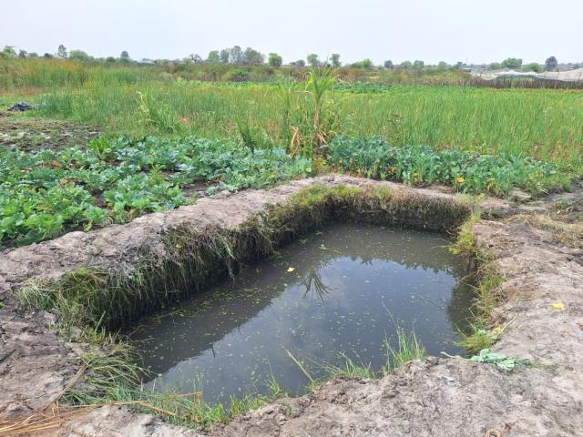 KAHUKURU, 23 September 2025- The Mutayipi Trading Garden in Kapako Costituency in Kavango West Region.

(Photo: Lylie Joel)
NAMPA