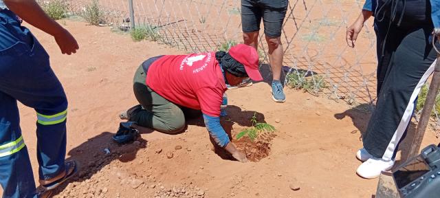 KALKRAND, 01 October 2025(NAMPA)- The Kalkrand Village Council in collaboration with local business woman Corne Smith and the local youth group called “Never Give Up” held a tree planting ceremony at the local cemetery in Kalkrand on Wednesday.
(Photo: Charmaine Boois) NAMPA 