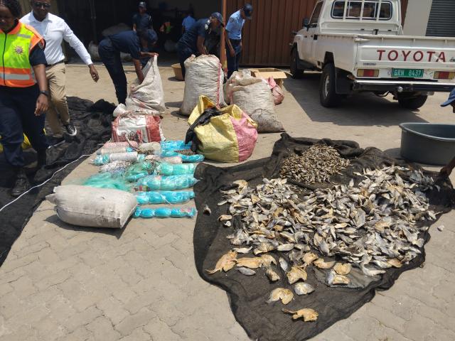 KATIMA MULILO, 06 November 2025 – Authorities in the Zambezi region led by the Namibian Police Force (NamPol) seized a total of 1, 238 kilograms of illegally caught fish species valued at N. dollar 92 850 in the past weeks as from 16 October to 05 November 2025.

(Photo: Michael Mutonga Liswaniso) NAMPA
