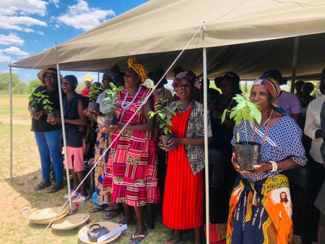 NKURENKURU, 20 November 2025 - The community members of Nkurenkuru Constituency in Kavango West region received 100 seedlings from the Kavango West Regional Governor, Verna Sinimbo, during the Fruit Tree Campaign in Nkurenkuru on Thursday.
(photo: Lylie Joel)
NAMPA