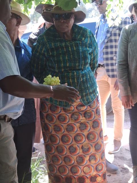 AUSSENKEHR, 24 November 2025 - 