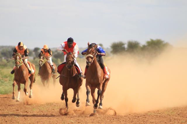 GOBABIS- Racehorses horses clashing in Rehoboth for Tobie Van Wyk Race Day (Photo: Contributed) NAMPA 