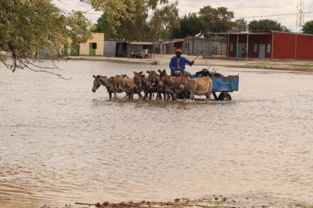 OSHAKATI, 12 December 2025- The owner of the donkey cart Frans Shaketange from the Oniimwandi village crossing the flood water with his donkey cart. (Photo: Ester Hakaala) NAMPA 