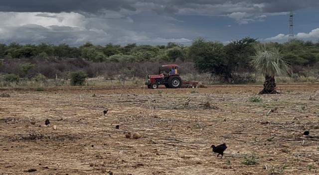 Cham-Cham, 13 December 2025: A tractor preparing the field for the Shipoke family to start planting a variety of crops.

(Photo: Max Henrich) NAMPA 