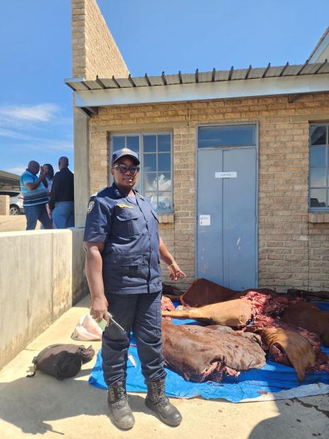 WINDHOEK, 06 FEBRUARY 2026 - Chief Inspector Katrina Naukushu, senior officer of the Namibian Police Force (NamPol) and Head of Community Affairs in the Khomas Region. (Photo by: Molly Weyulu) NAMPA 