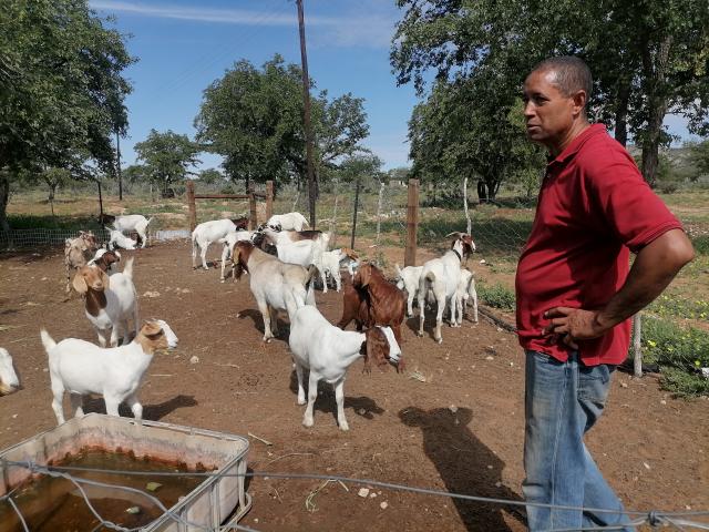 FRANSFONTEIN, 10 February 2026 - The Fransfontein goat farmer beneficiary of the Environmental lnvestment Fund livestock revolving scheme, Seth Murorua. (Photo by: Mulisa Simiyasa) NAMPA 