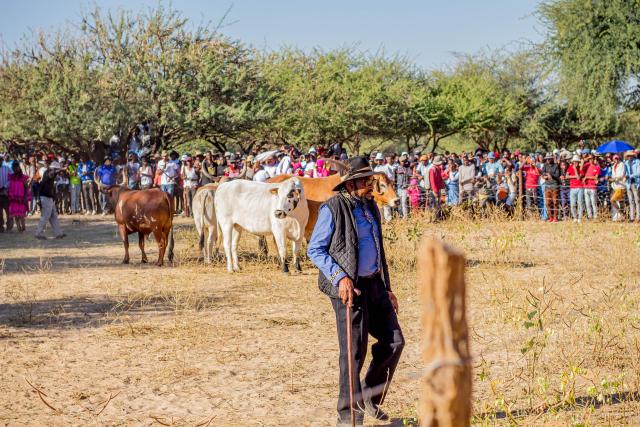 OSHAKATI, 24 March 2026- The Okongo Village Council has announced that the 5th Omaludi Agricultural Festival will take place from 25 to 30 May 2026 at Okongo in the Ohangwena region. (photo: contributed) 
