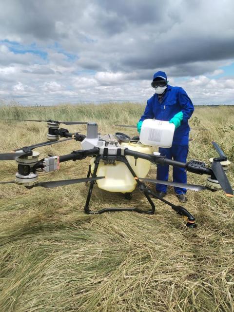 MASOKOTWANI, 07 April 2026 - The Ministry of Agriculture, Fisheries, Water and Land Reform says it is aware of the locust outbreak affecting crop fields in the Zambezi Region however, the spraying intervention was disrupted by seasonal floods. In total, the teams identified an area of 32,896 hectares and as of the beginning of March 2026, 7,124 hectares had been sprayed, comprised of 5,710 hectares by ground teams and 1,414 hectares using drones.

(Photo: Contributed)