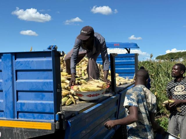 WINDHOEK, 11 April- Agriculture ministry intervening in the flood situation at Zambezi region. (Photo contributed) NAMPA