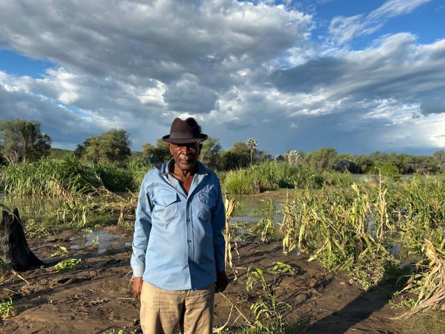 Otjimuhaka (Swartbooi Drift), 17 April 2025- Headman of Otjimuhaka village (Swartbooi Drift), Edward Kariapeke, standing in his flooded garden with destroyed crops at Otjimuhaka village (Swartbooi Drift) along the Kunene River. (Photo: Kaviveterue Virere) NAMPA 