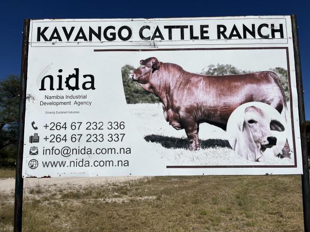 MANGETTI, 26 May 2026- The Kavango Cattle Ranch in Tondoro Constituency in Kavango West region.

(Photo: Lylie Joel)
NAMPA