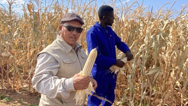 MARIENTAL, 18 June 2026 (NAMPA)- Hardap Governor Riaan McNab addresses workers and management during a visit to the Hardap Green Scheme where he called for greater youth participation in agriculture to boost food security, entrepreneurship and job creation 

(Photo: Joe-Chintha Garises)
NAMPA