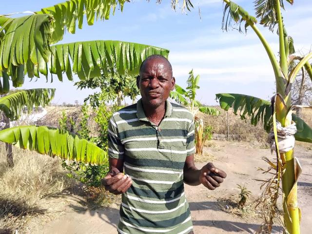 OUTAPI, 29 June 2026 - Joseph David pictured in his orchard (Photo: Andreas Thomas) NAMPA 