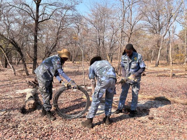 05 August 2026 – Members of the Namibia Youth Service remove an illegal fence during a communal land operation. (Photo: Contributed)